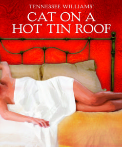 cat on a hot tin room